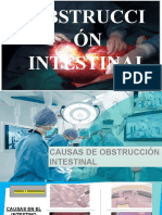 Causas y Fisiopatologia de Oi