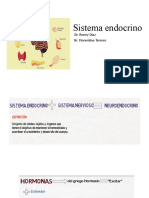 10 Sistema Endocrino PP