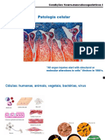 S1- Patologia Celular