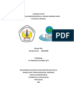 Laporan Kasus - Giovanni Lawira - Hemianopsia Homonim Dextra Ec Stroke Iskemik Lobus