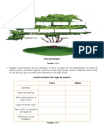 Arbol Genealogico