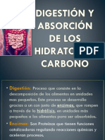 Clase 2 CHO PDF