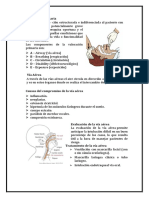 Tema de Exposición