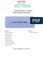 La Matrice BCG: LP: Management Bancaire Et Financier