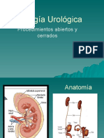 Urologia (Nefrectomia - Prostatectomia)