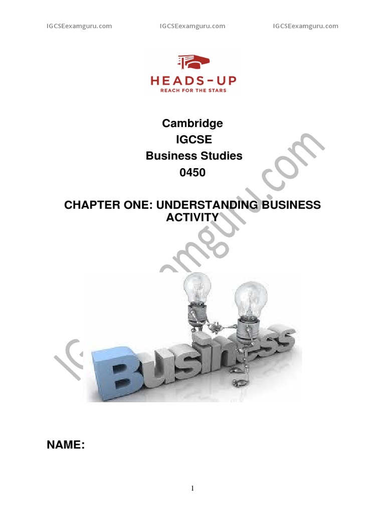 Igcse Business Studies A Notes C1 Understanding Business Activity