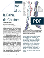 Desastre Ambiental Bahía de Chañaral