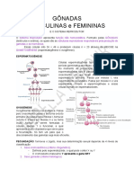 Endocrinologia Das Gônadas (Femininas e Masculinas)