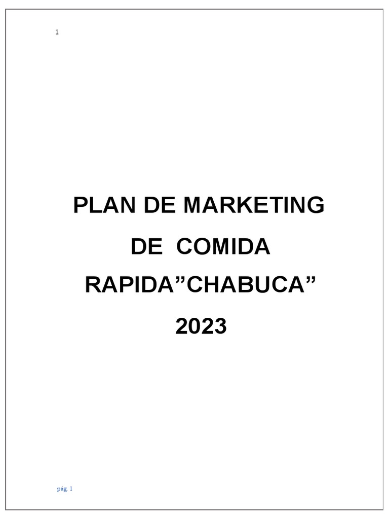 Plan de Marketing 2023 | PDF | Marketing | Economias