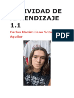 Actividad 1.1 - Carlos Maximiliano Soto Aguilar