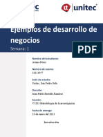 Desarrollo de Negocios