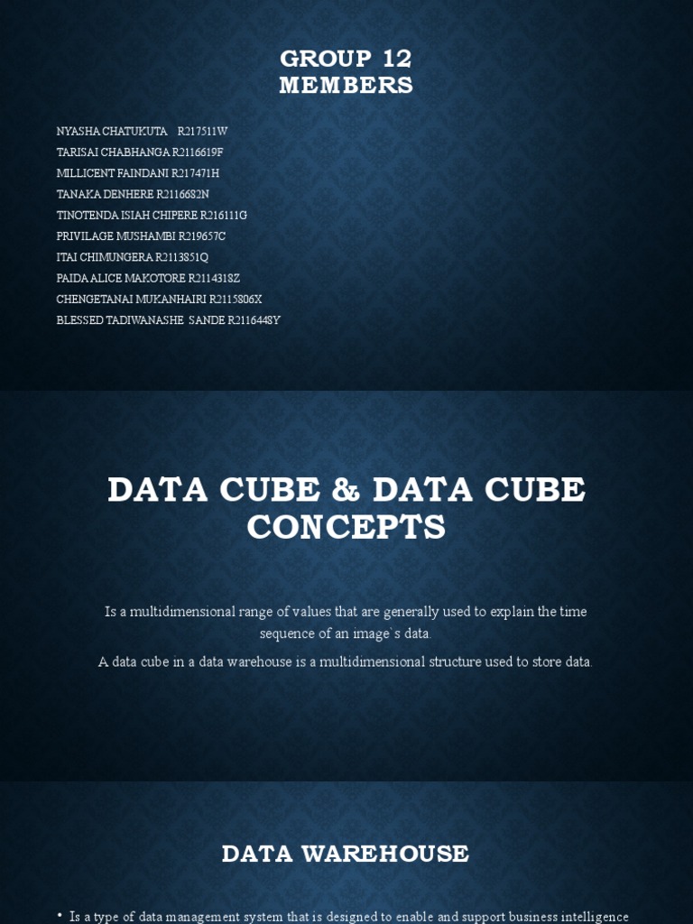 Data Cube Group 12 Members | PDF