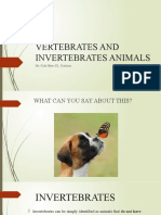 Vertebrates and Invertebrates Animals g6