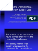 Brachial Plexus in Five Minutes