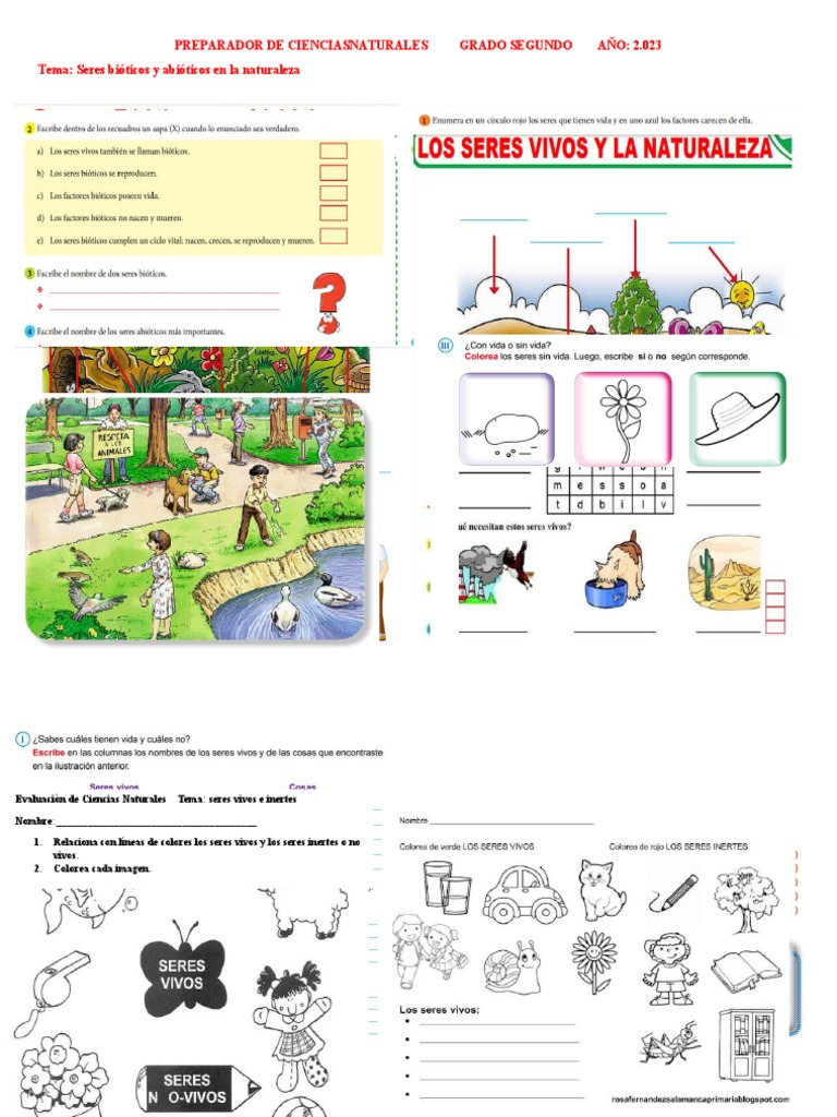 Actividades de Ciencias Naturales 2° Grado | PDF