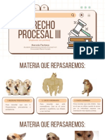 Ayudantia Examen Proce Iii - Marce Pacheco