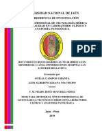 Tesis para Obtener El Título Profesional de Rotavirus Jaen Peru 2019