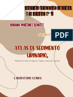 Atlas de Sedimiento Urinario.