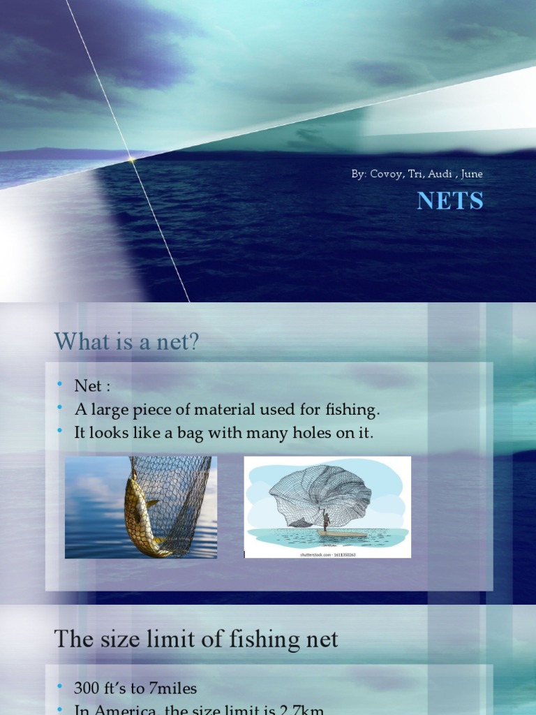 Nets PDF