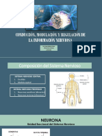 Tema 6. CONDUCCION Y MODULACION 23