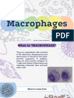 Macrophage IC