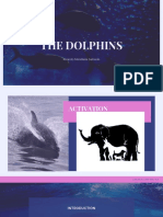 Dolphins