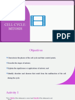 CELL CYCLE - Mitosis