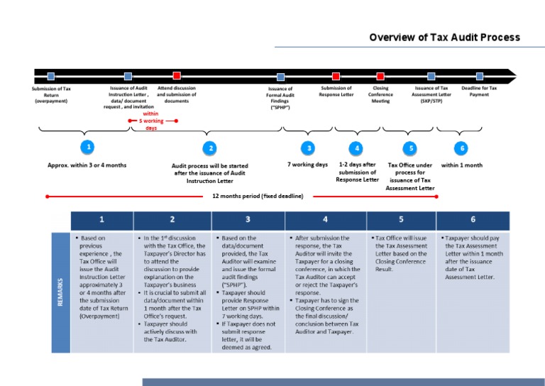akp2i-overview-of-tax-audit-pdf