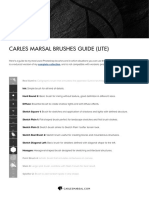 Carles Marsal Brushes (Lite) - Guide