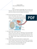 Male and Female Reproductive System - Pazcoguin