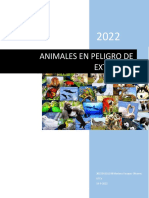 Animales en Peligro de Extincion - Marianavazquez