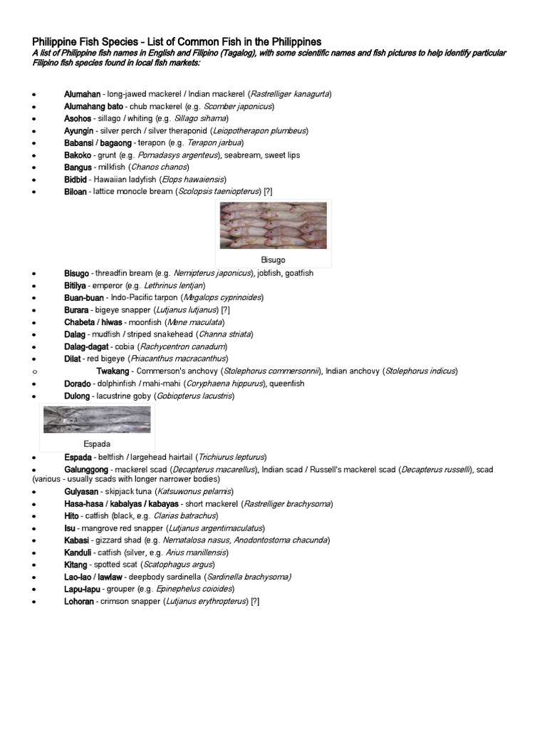 Philippine Fish Species | PDF | Fish And Humans | Aquatic Animals