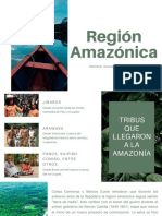 Amazonia Peruana