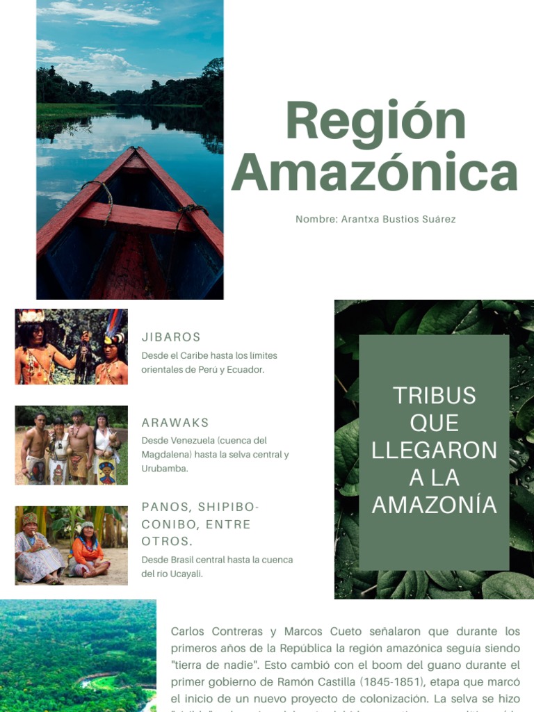 Cultura y pueblos de la Amazonía | PDF | Selva amazónica