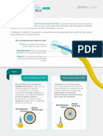 Caracteristicas de La Fibra Opica