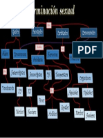 Determinación Sexual PDF PRO