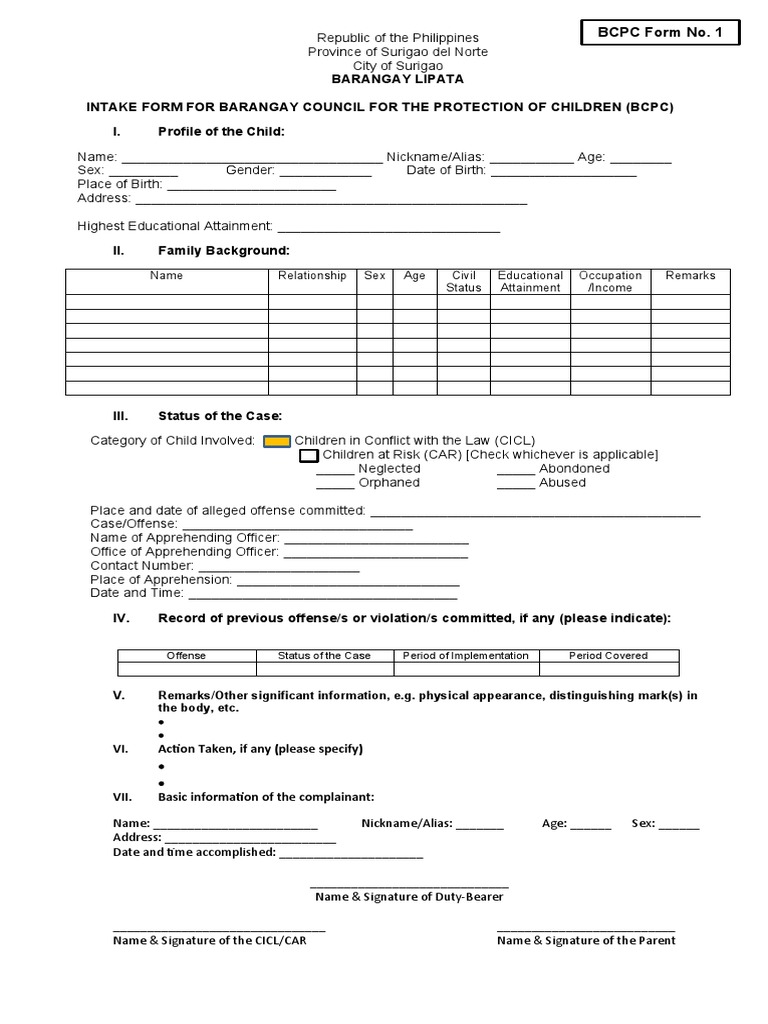 BCPC Child Intake Form Template | PDF | Childhood | Human Rights