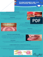 Infografía de Odontología Cepillado de Dientes