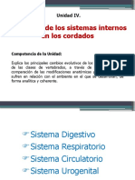 Unidad IV - Sistema Digestivo - 2020