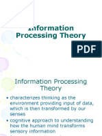 Information Processing Theory Explained