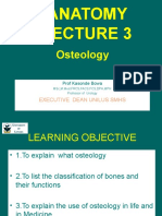 Anatomy 3 (Bone) Unilus Short