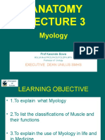 Anatomy 3 (Gross Muscle)