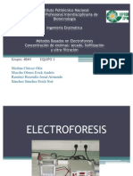 electroforesis