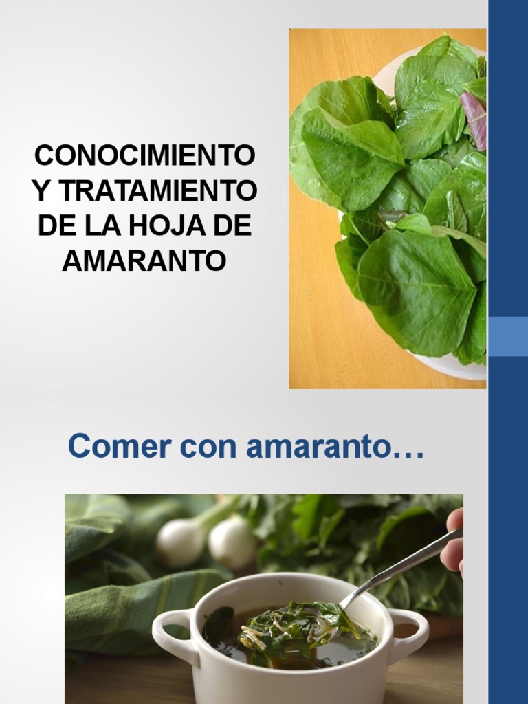 Sesion 2 Hoja de Amaranto PDF Alimentos Cocinando