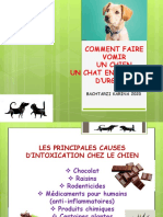 Faire Vomir Chat Chien