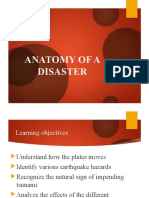 Anatomy of A Disaster