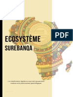 Ecosysteme Surebanqa Pour Gouv-1