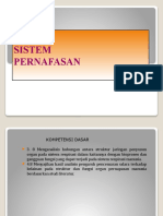 Sistem Pernafasan