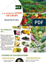 Classification of Crops