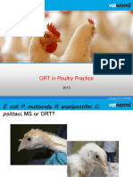 ORT in Poultry Practice